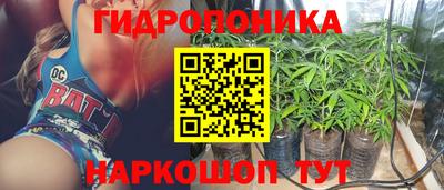 PSILOCYBIN Бердск