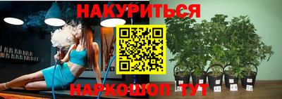 PSILOCYBIN Бердск